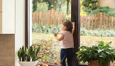 Экологичность Экологичность